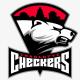   Charlotte Checkers